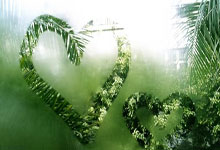 天涯神贴大赏：那些让网友熬夜刷楼的经典贴子